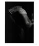 Page: - 63 | Aperture