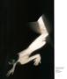 Page: - 16 | Aperture