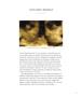 Page: - 19 | Aperture