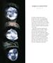 Page: - 4 | Aperture