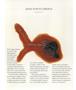 Page: - 50 | Aperture