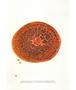 Page: - 51 | Aperture