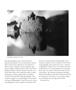 Page: - 67 | Aperture