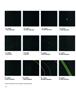 Page: - 32 | Aperture
