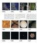 Page: - 34 | Aperture