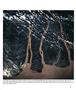 Page: - 39 | Aperture