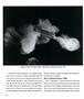 Page: - 26 | Aperture