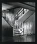 Page: - 51 | Aperture