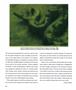 Page: - 60 | Aperture
