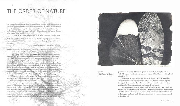 The Order Of Nature