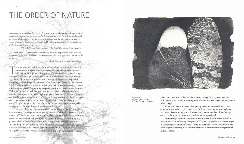 The Order Of Nature