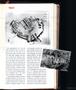 Page: - 23 | Aperture