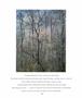 Page: - 11 | Aperture