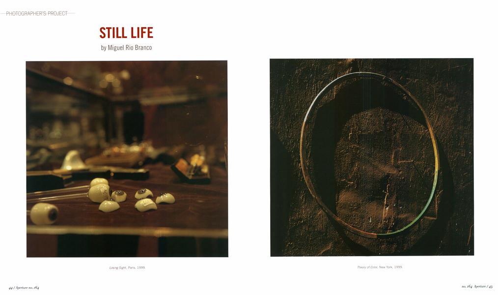 Still Life