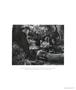 Page: - 67 | Aperture