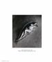 Page: - 36 | Aperture