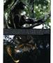 Page: - 46 | Aperture