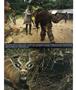 Page: - 51 | Aperture