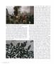 Page: - 70 | Aperture