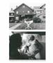 Page: - 36 | Aperture