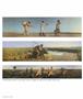 Page: - 52 | Aperture