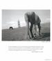 Page: - 55 | Aperture