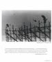 Page: - 67 | Aperture
