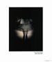 Page: - 75 | Aperture