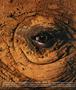 Page: - 0_2 | Aperture