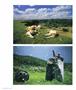 Page: - 30 | Aperture
