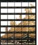 Page: - 37 | Aperture