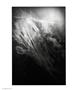Page: - 22 | Aperture