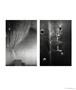 Page: - 25 | Aperture