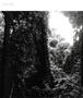 Page: - 28 | Aperture