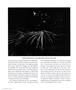 Page: - 30 | Aperture