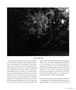 Page: - 31 | Aperture