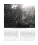 Page: - 32 | Aperture