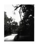 Page: - 33 | Aperture
