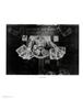 Page: - 56 | Aperture