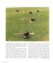 Page: - 22 | Aperture