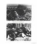 Page: - 63 | Aperture