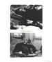 Page: - 65 | Aperture