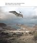 Page: - 10 | Aperture