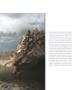 Page: - 11 | Aperture