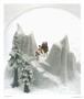 Page: - 21 | Aperture