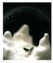 Page: - 28 | Aperture