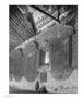 Page: - 40 | Aperture