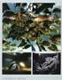Page: - 91 | Aperture