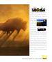Page: - 0_4 | Aperture