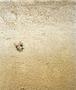 Page: - 27 | Aperture